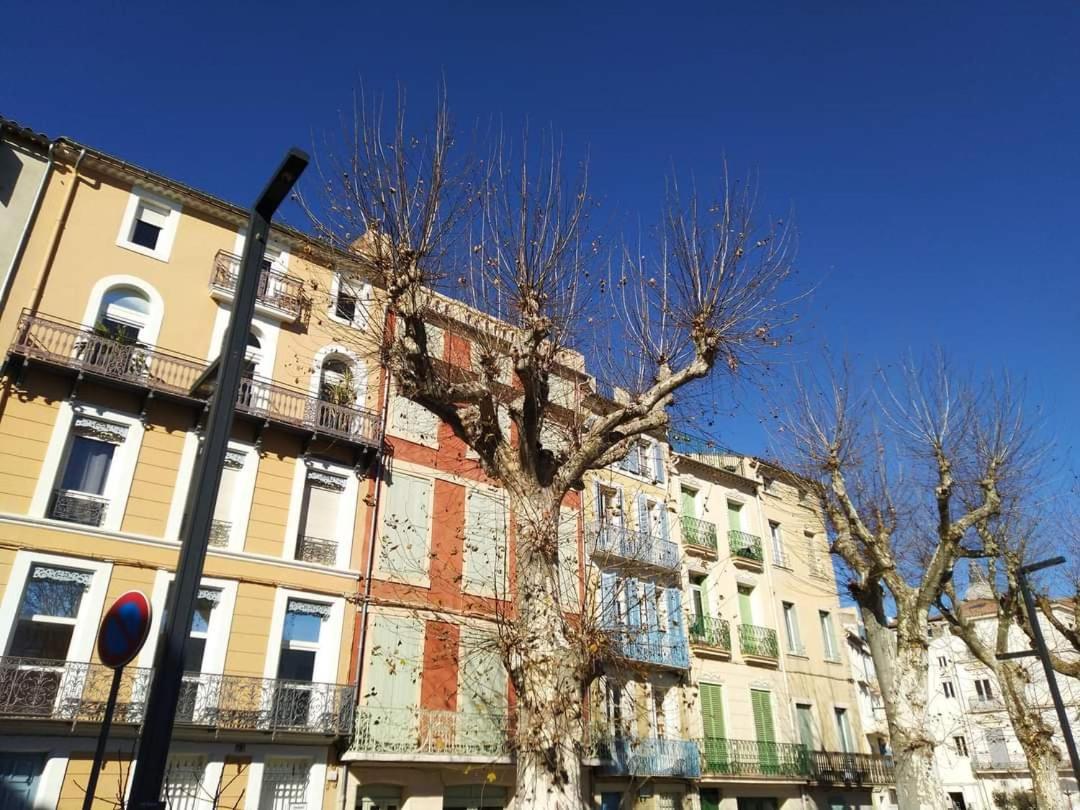 Entre Ville Et Canal, Calme Et Central - Gare A 700 M Narbonne Exterior photo